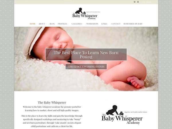 thebabywhisperer